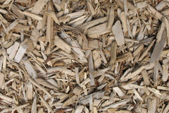 biomass boilers Clay Mills